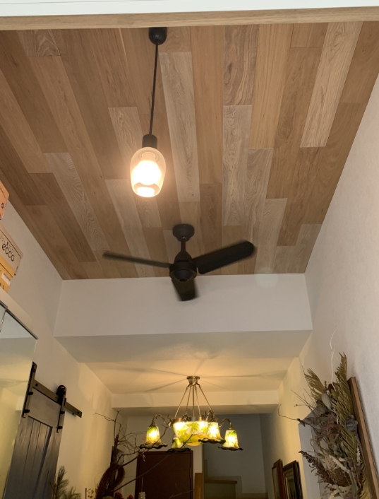 gallery06